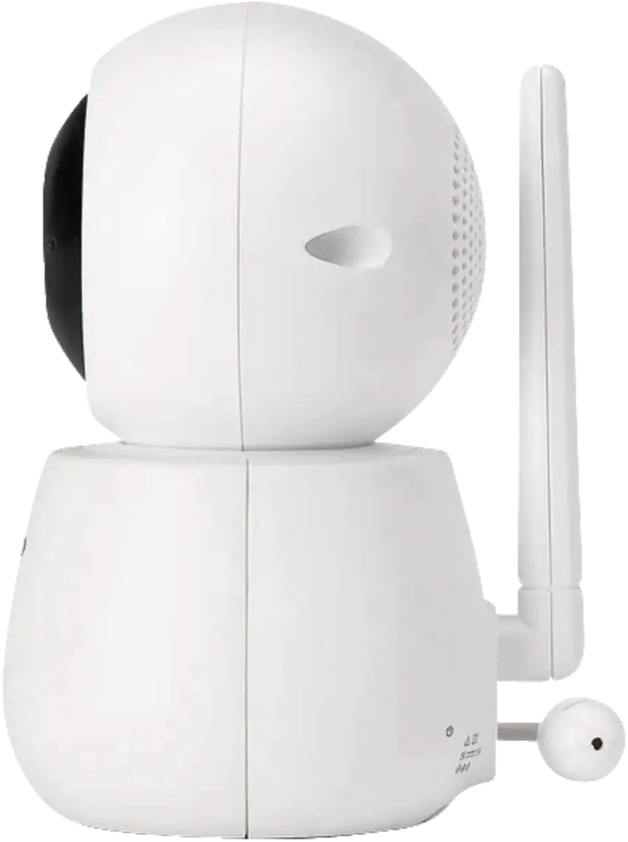 DVM2050