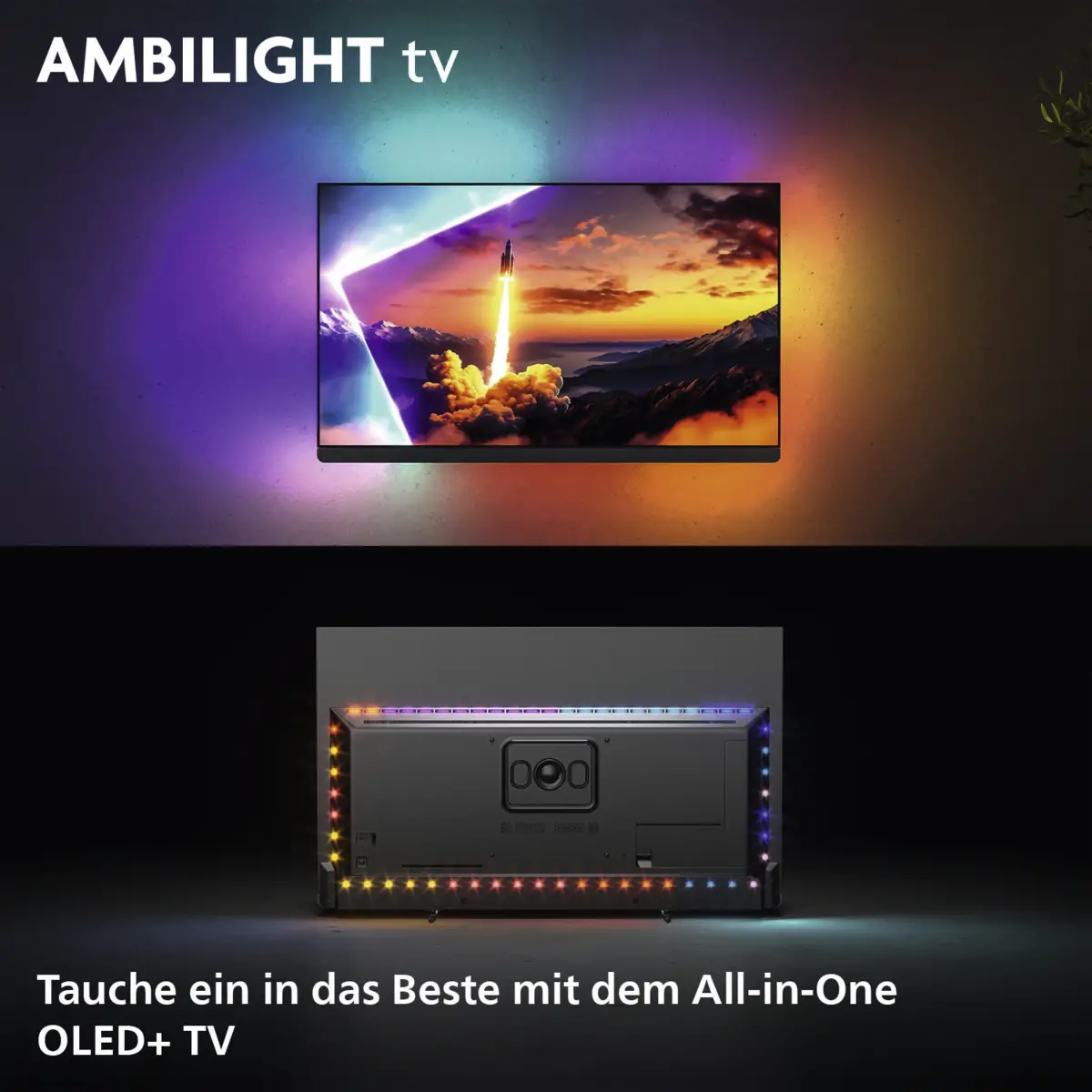 55OLED910/12