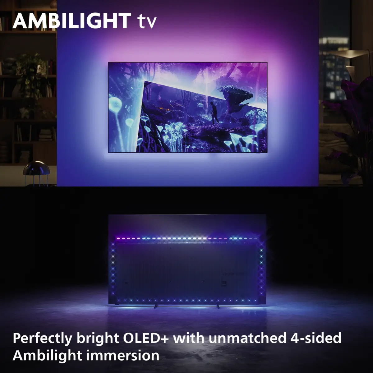 65OLED951/12