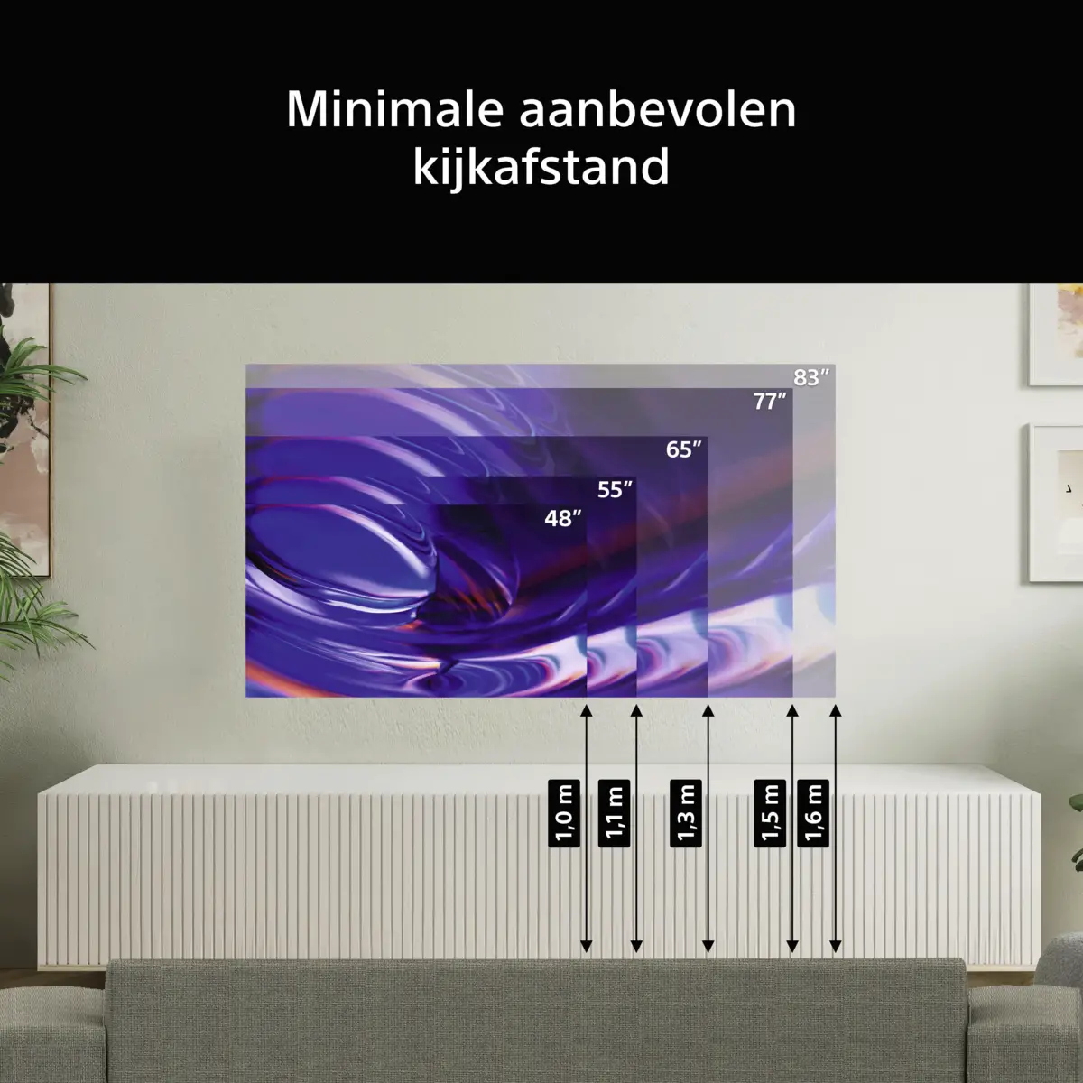 Bravia 6 K48A69PB