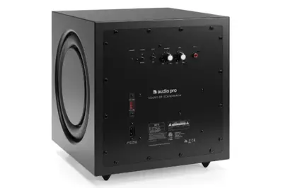 SW-10 Actieve Subwoofer 2x9 inch 200W
