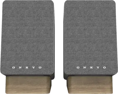 Onkyo GX-10DB (paar)