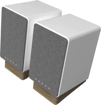 GX-30ARC (paar)