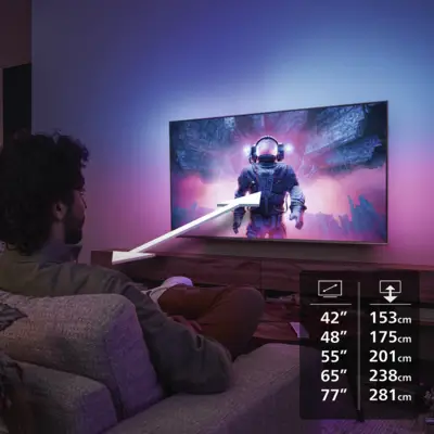 48OLED811/12
