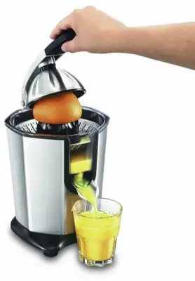 Citrus Juicer (Type 8453)