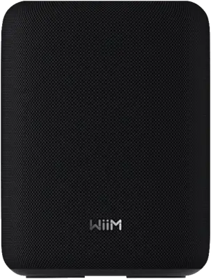WiiM Sound Lite zwart